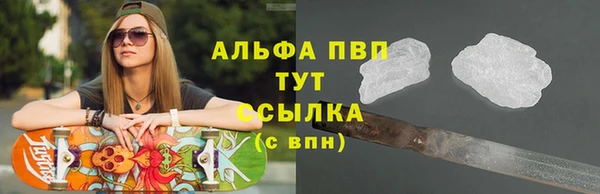 ECSTASY Гусев