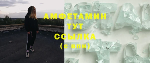 шишки Дмитровск