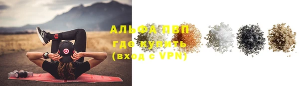 ECSTASY Гусев