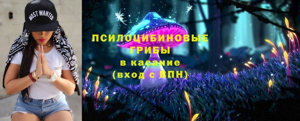 ECSTASY Гусев
