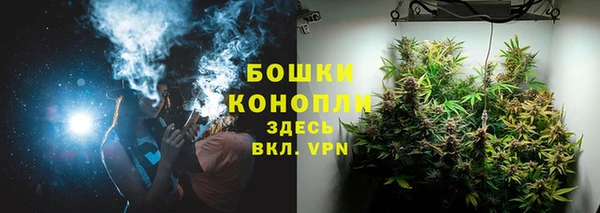 ECSTASY Гусев