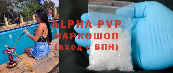 ECSTASY Гусев