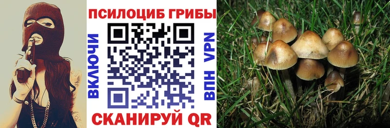 Галлюциногенные грибы прущие грибы  Купить  Вихоревка 