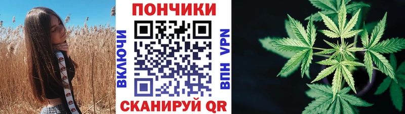 Купить  Вихоревка  Канабис ГИДРОПОН 